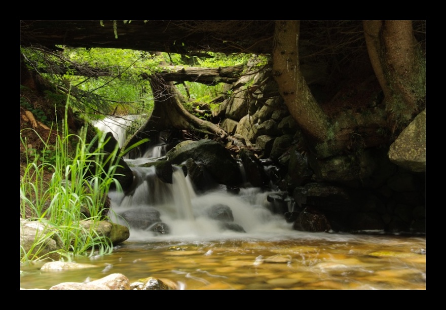 Prášilský potok, Šumava