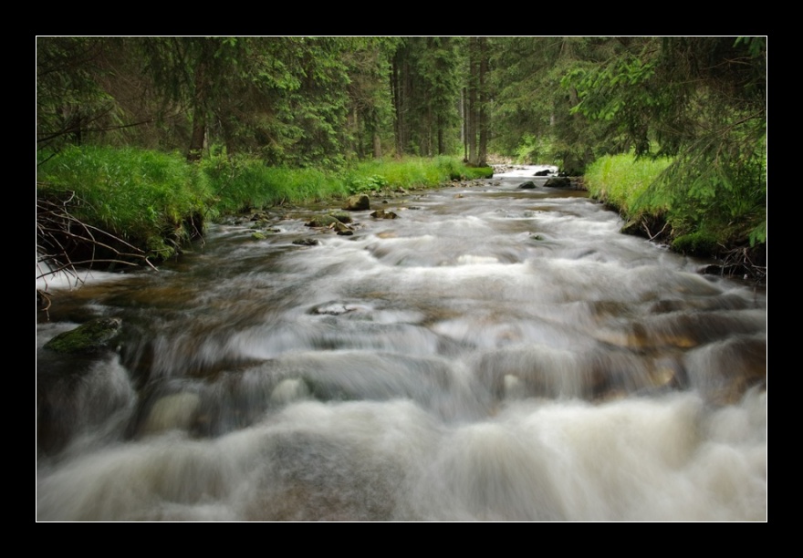 Prášilský potok, Šumava