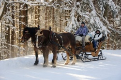 Mumlava, Krkonoše