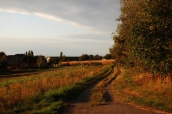 Opatovice, Kolín