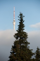 Praděd, Jeseníky