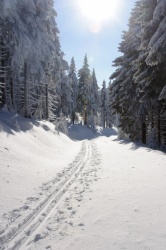 Krkonoše