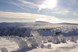Krkonoše