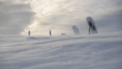 Krkonoše