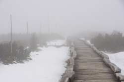 Úpské rašeniliště, Krkonoše
